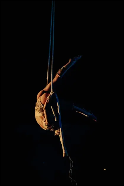 Detail Circus Aerial Acrobat Performance Photo Number 8