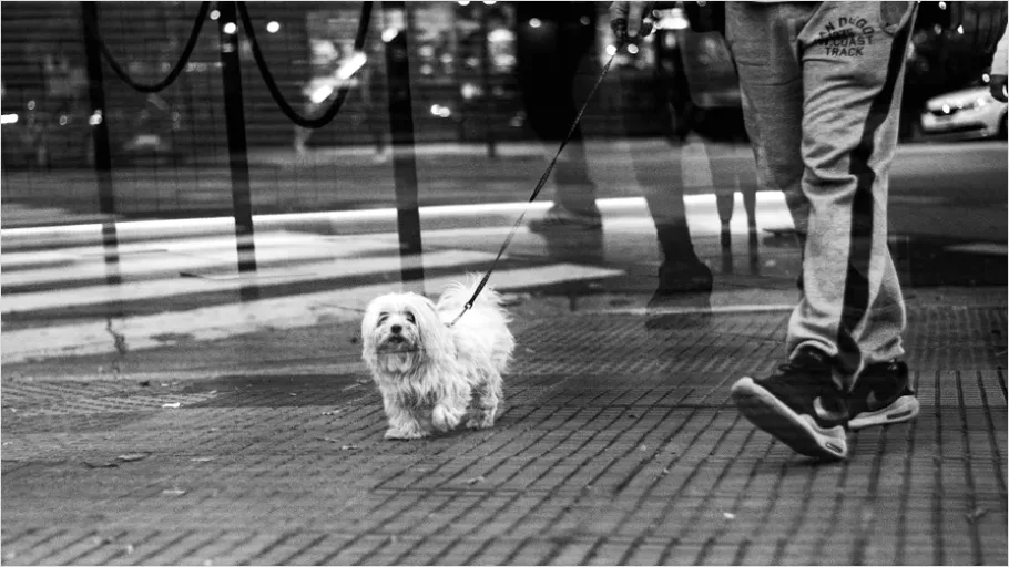 Detail City Sidewalk Street Life Photo Number 14