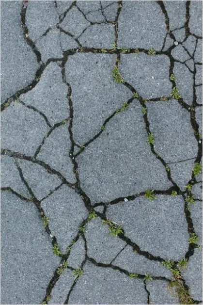 Detail Cracked Sidewalk Urban Texture Photo Number 2