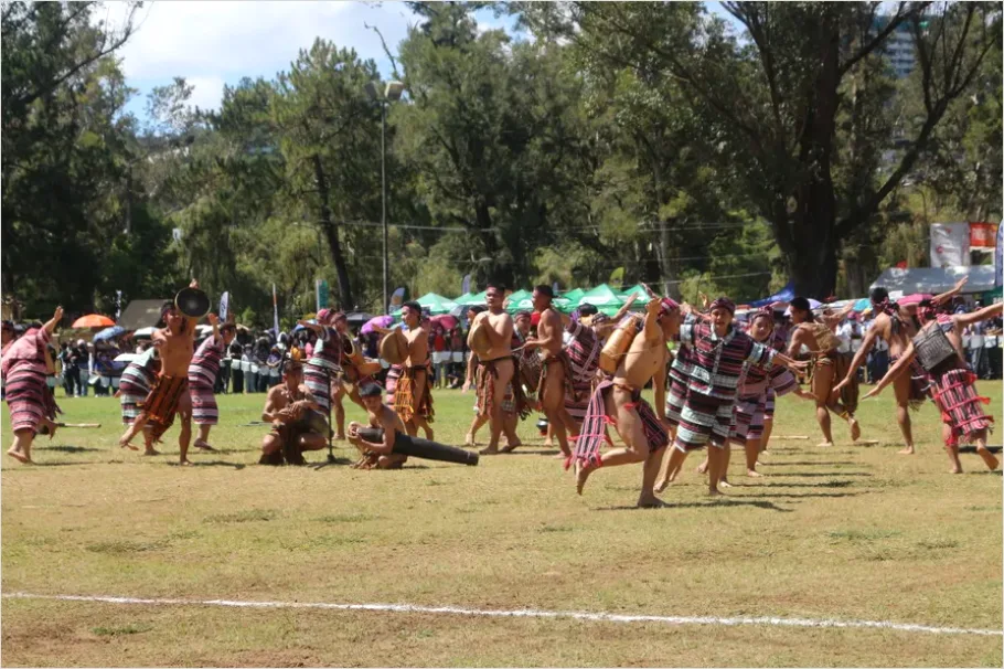 Detail Cultural Festival Dance Performance Photo Number 11