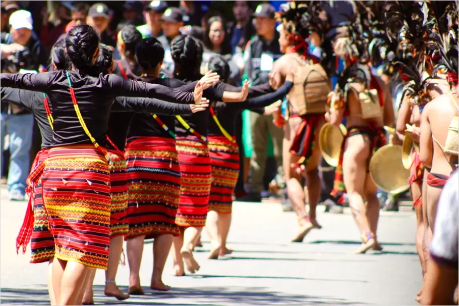 Detail Cultural Festival Dance Performance Photo Number 8