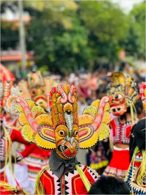 Detail Cultural Procession Traditional Dress Photo Number 15