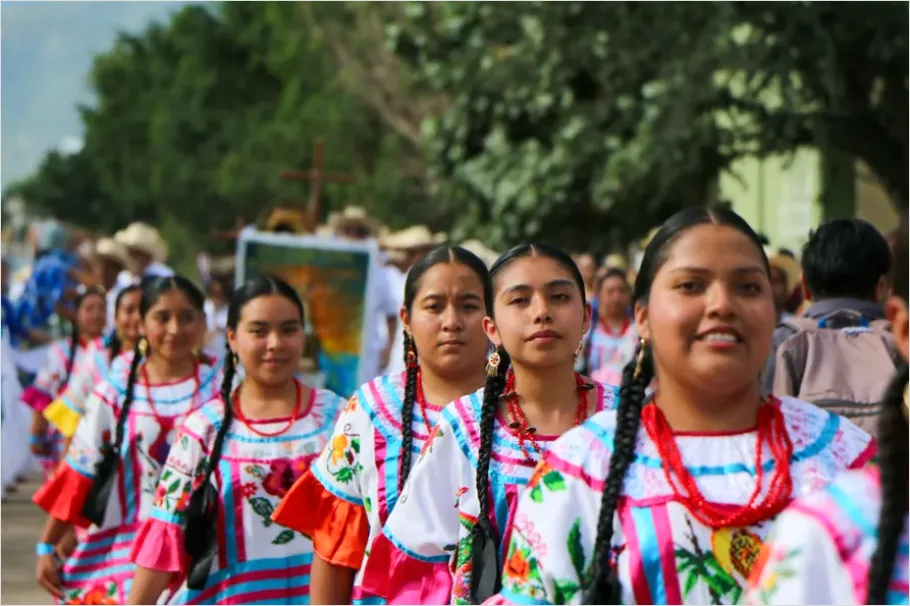 Detail Cultural Procession Traditional Dress Photo Number 10