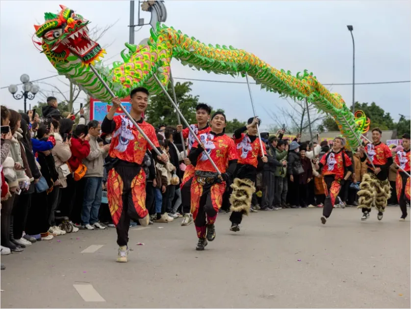 Detail Dragon Dance Street Festival Photo Number 11