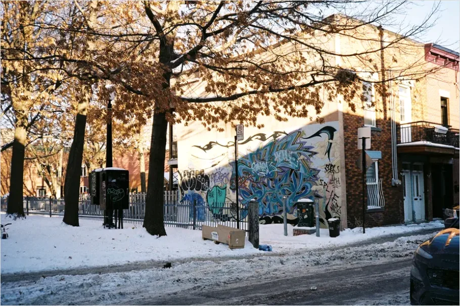 Detail Gentrification Neighborhood Street Photo Number 2
