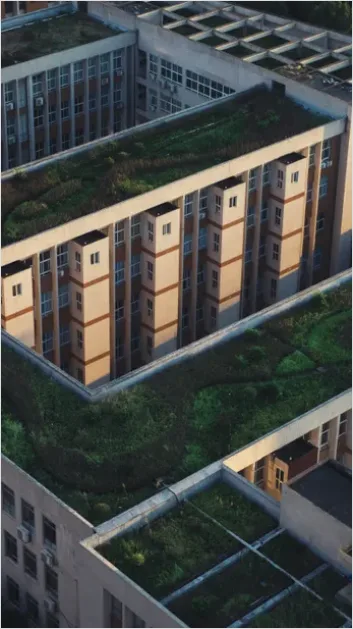 Detail Green Roof Building City Photo Number 6