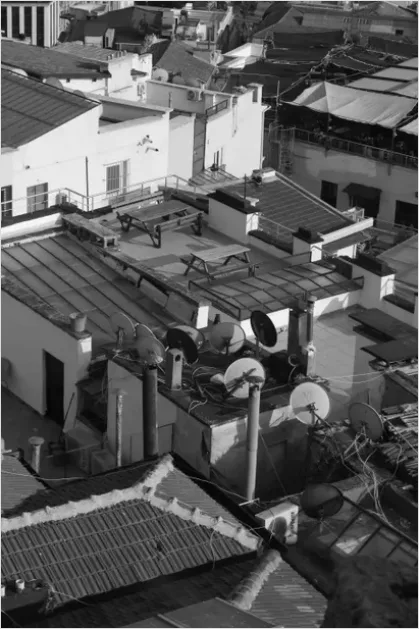 Detail Green Roof Building City Photo Number 7