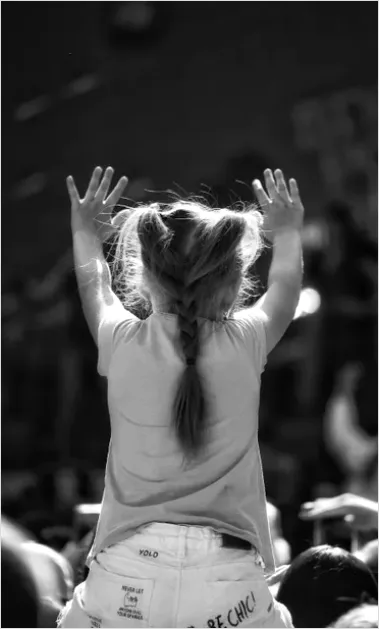 Detail Hands In The Air Concert Photo Number 2