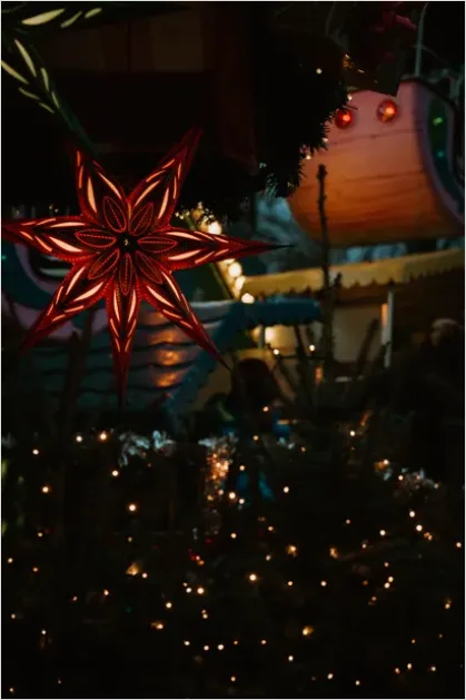Detail Holiday Market Festive Lights Photo Number 14
