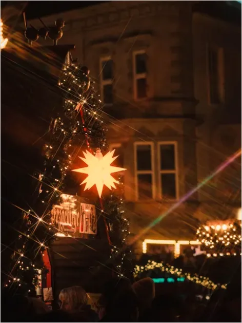 Detail Holiday Market Festive Lights Photo Number 4