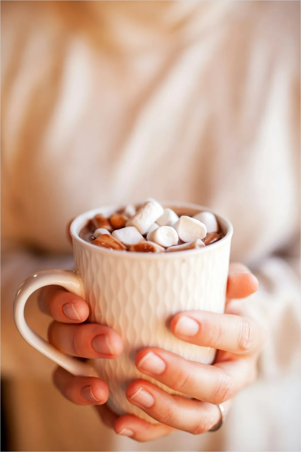 Detail Hot Cocoa Mug Marshmallows Cozy Number 2