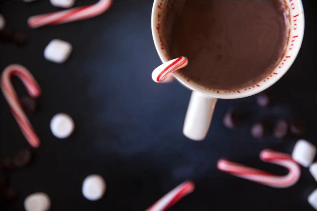 Detail Hot Cocoa Mug Marshmallows Cozy Number 11