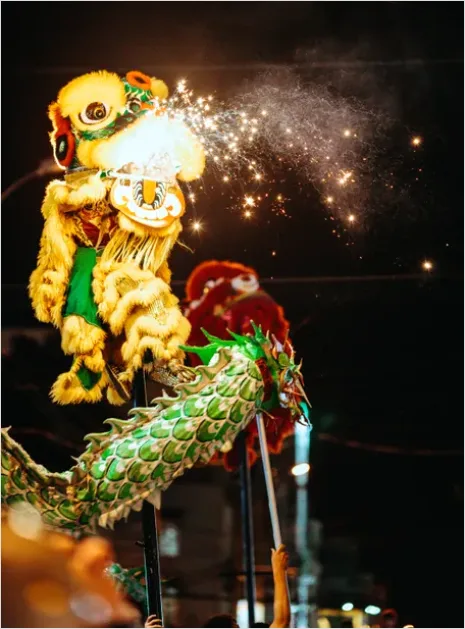 Detail Lantern Parade Night Festival Photo Number 16