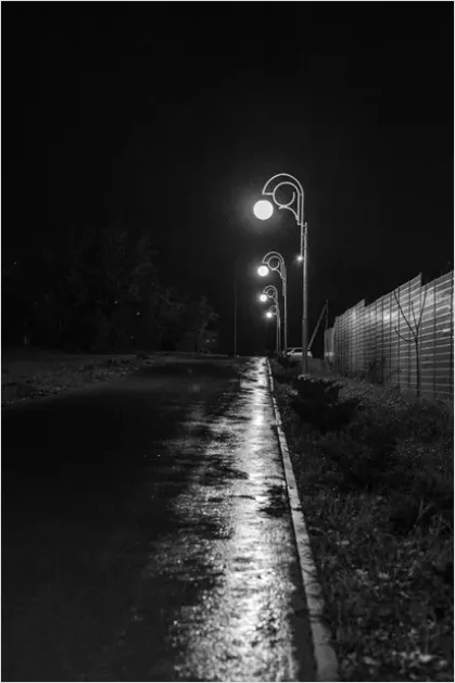 Detail Modern Street Lamp City Night Photo Number 2