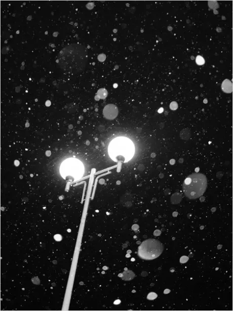 Detail Modern Street Lamp City Night Photo Number 9
