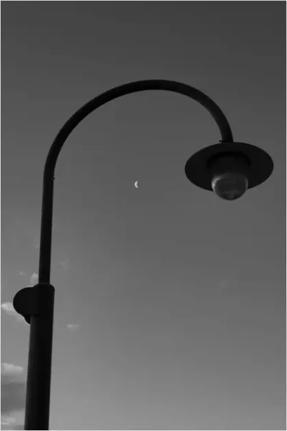 Detail Modern Street Lamp City Night Photo Number 10
