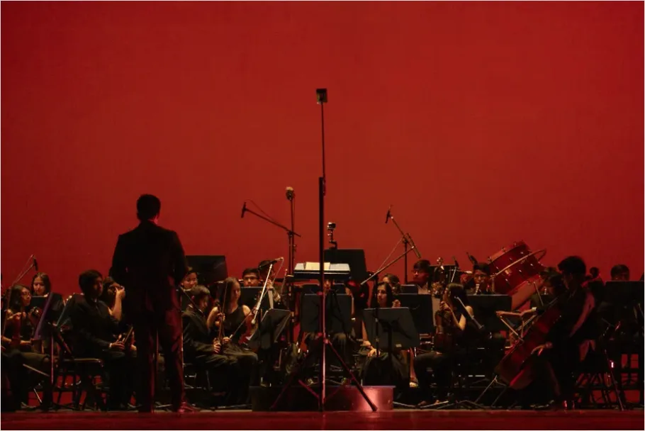 Detail Music Conductor Leading Orchestra Photo Number 13