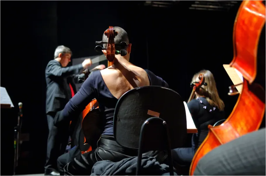 Detail Music Conductor Leading Orchestra Photo Number 14