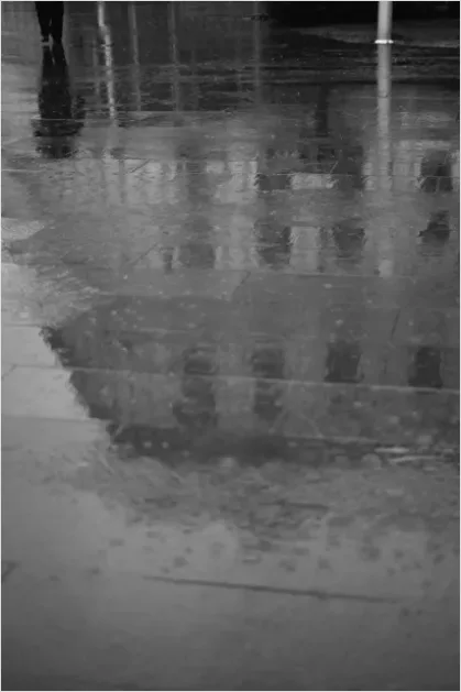 Rainy City Street Reflections Photo 7c79