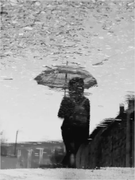 Detail Rainy City Street Reflections Photo Number 7