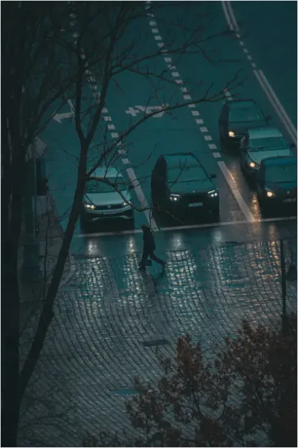Detail Rainy City Street Reflections Photo Number 10