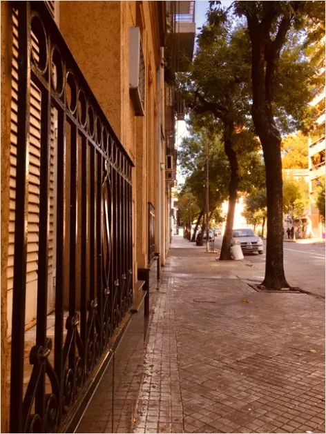 Detail Street Trees And Sidewalks Photo Number 14