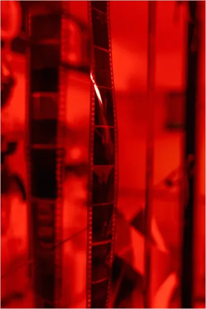Detail Ticket Strips Carnival Close Up Photo Number 9