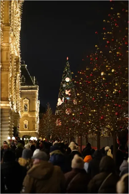 Detail Tree Lighting Ceremony Crowd Photo Number 9