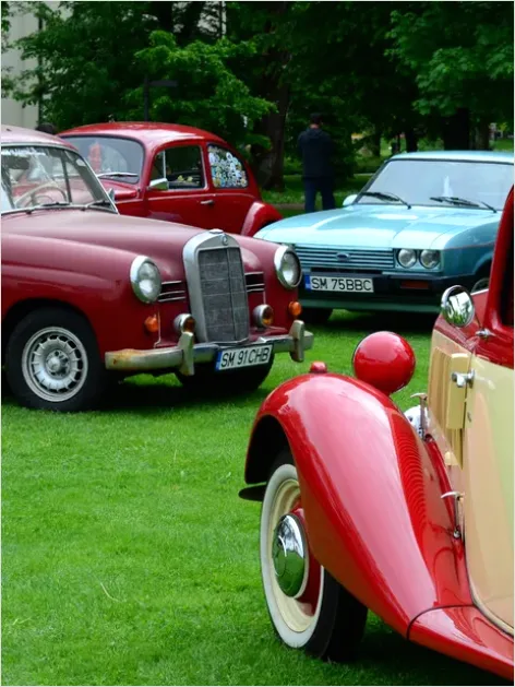 Detail Vintage Car Rally Group Photo Number 11