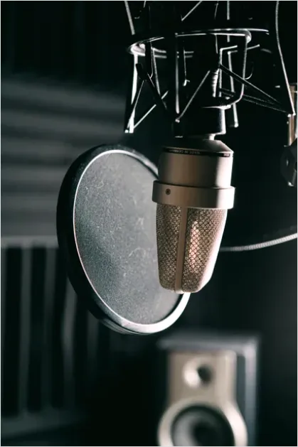 Detail Voice Actor Recording Booth Photo Number 13