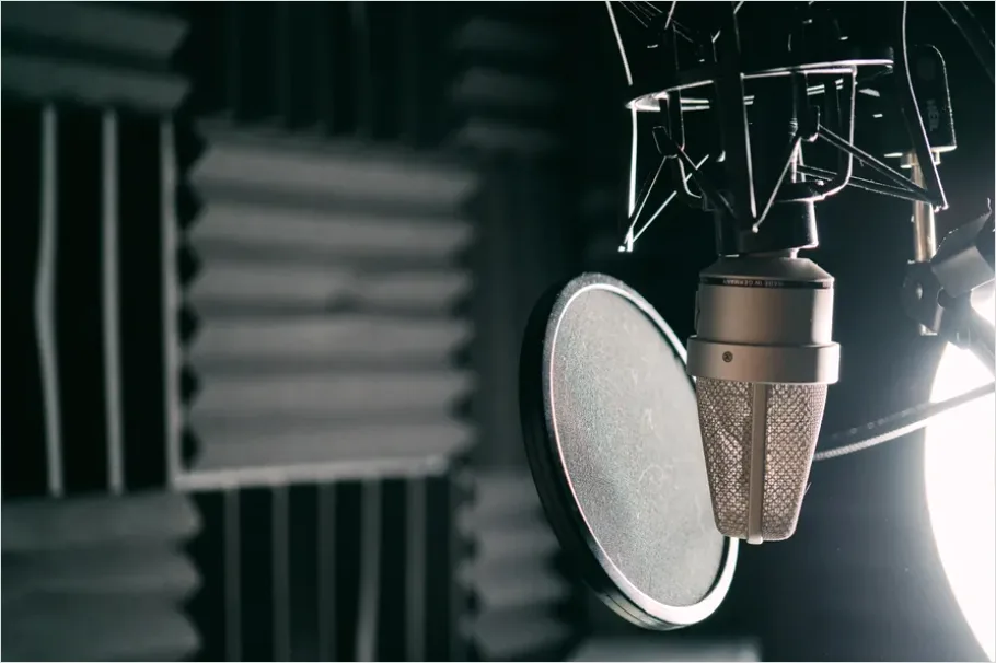 Detail Voice Actor Recording Booth Photo Number 3