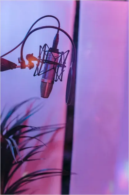 Detail Voice Actor Recording Booth Photo Number 9