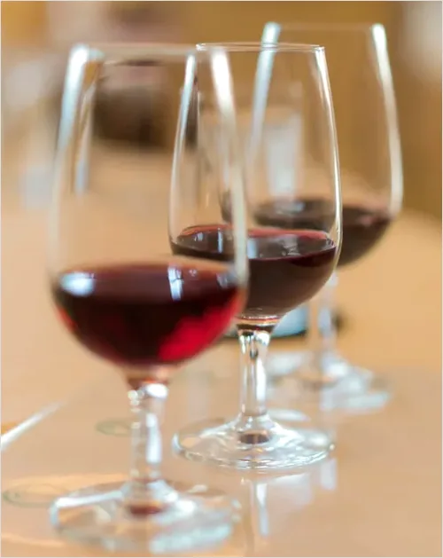 Detail Wine Festival Tasting Glasses Photo Number 8