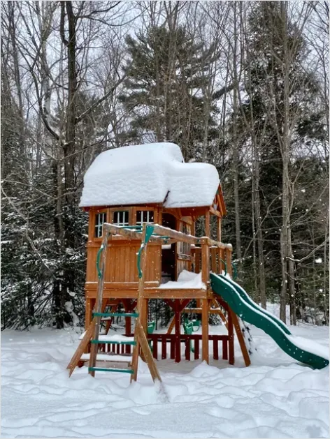 Detail Backyard Playset Family Home Exterior Number 4