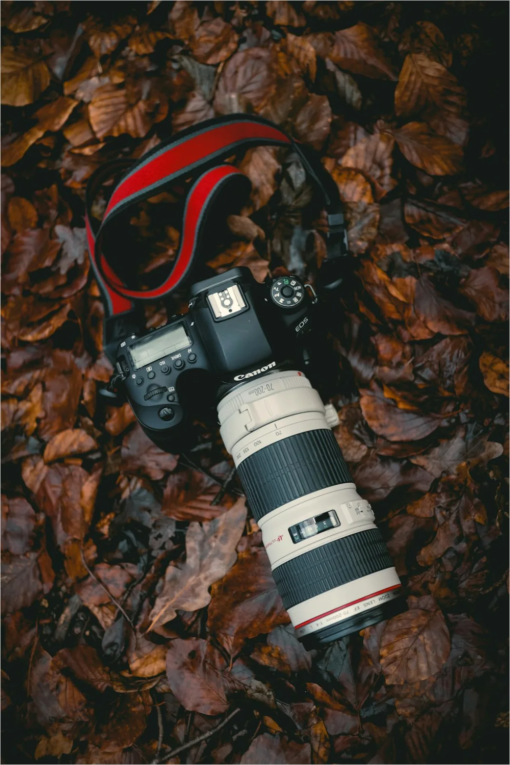Detail Camera Strap And Lens Cap Number 2