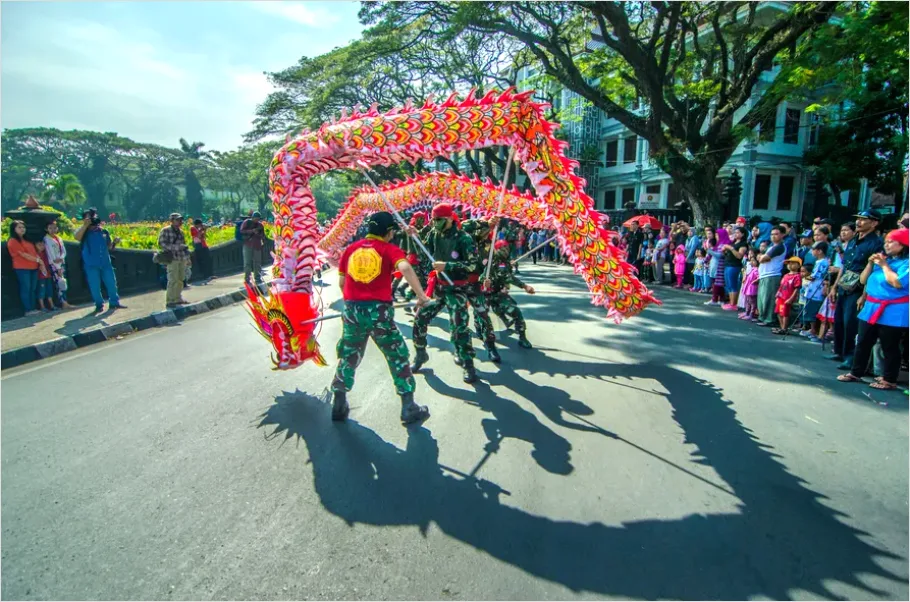 Detail Dragon Dance Street Festival Performance Number 12