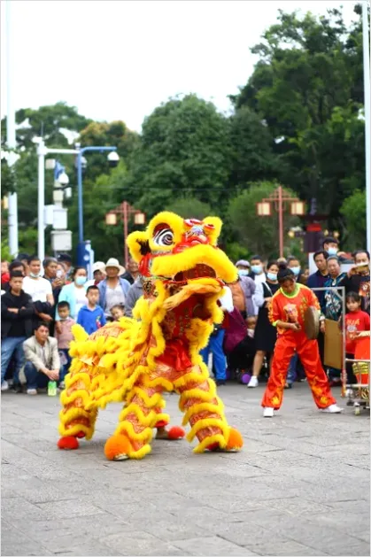 Detail Dragon Dance Street Festival Performance Number 15