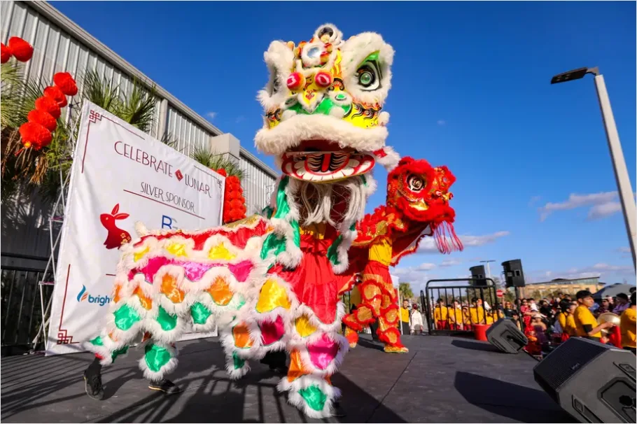 Detail Dragon Dance Street Festival Performance Number 8
