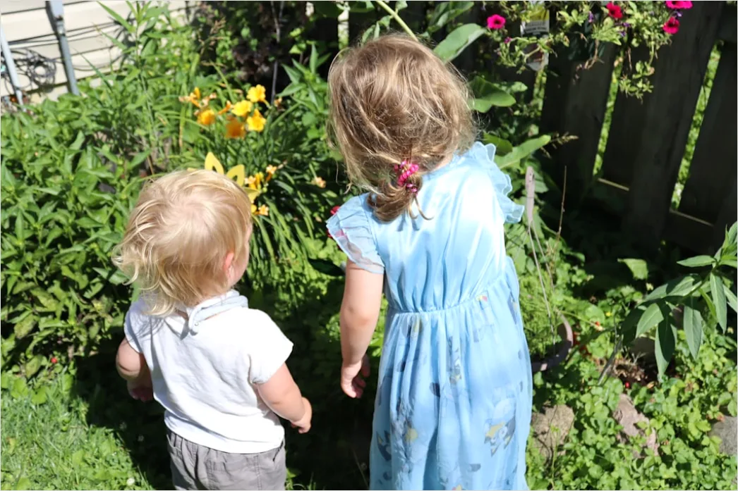 Detail Easter Egg Hunt Kids Running Backyard Number 3