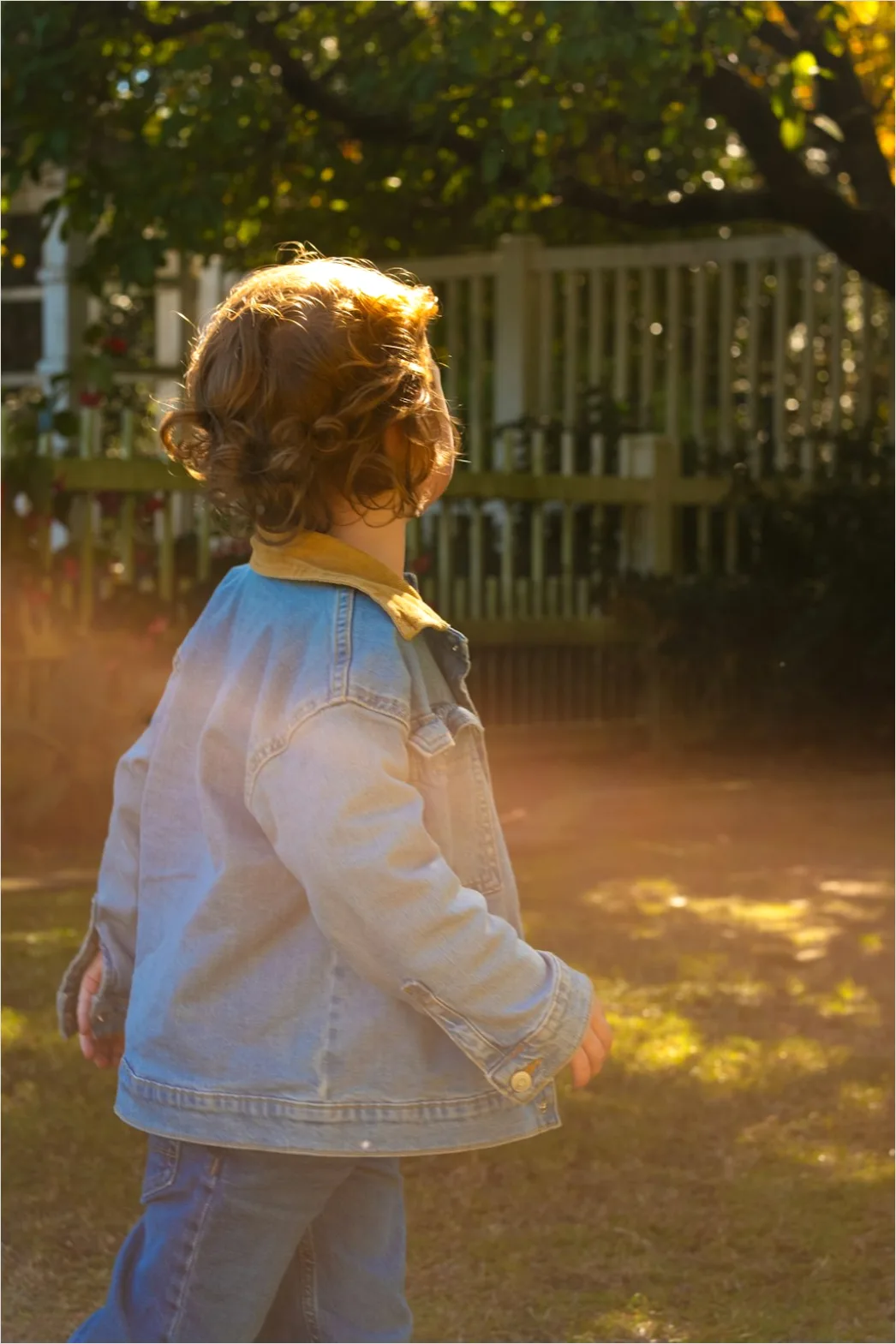 Detail Easter Egg Hunt Kids Running Backyard Number 6