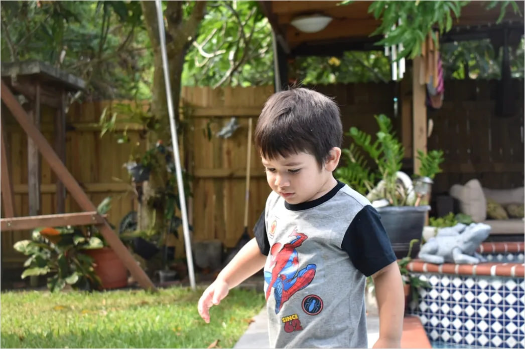 Detail Easter Egg Hunt Kids Running Backyard Number 9
