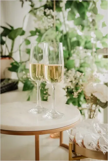 Detail Engagement Party Toast Photo Number 11