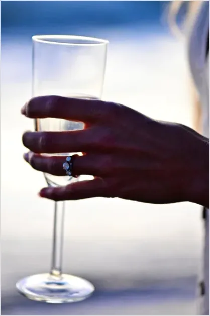 Detail Engagement Party Toast Photo Number 13