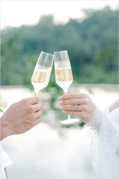 Detail Engagement Party Toast Photo Number 9