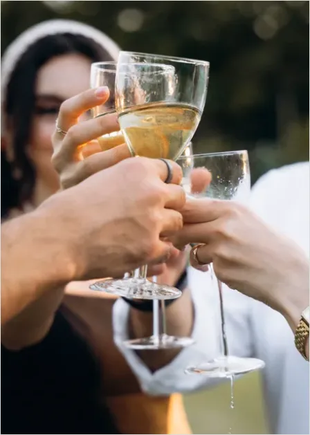 Detail Engagement Party Toast Photo Number 10