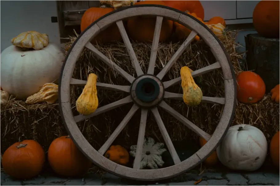 Detail Fall Harvest Decor Pumpkins Gourds Number 13