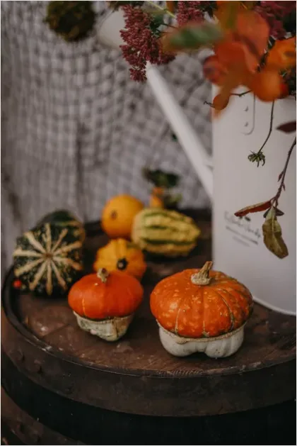 Detail Fall Harvest Decor Pumpkins Gourds Number 14