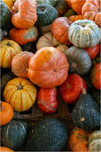 Detail Fall Harvest Decor Pumpkins Gourds Number 3