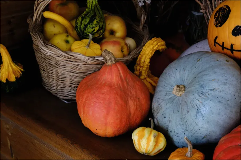 Detail Fall Harvest Decor Pumpkins Gourds Number 6