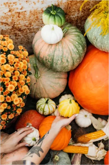 Detail Fall Harvest Decor Pumpkins Gourds Number 9